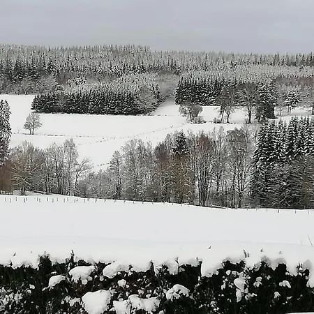 Tatil Evi Chez Lisa Avec Jaccuzi Vielsalm