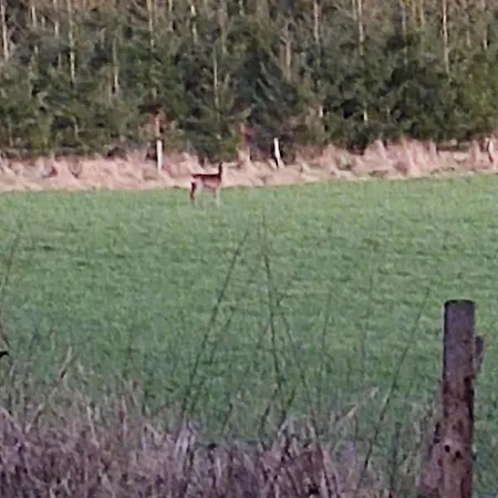 Chez Lisa Avec Jaccuzi Tatil Evi